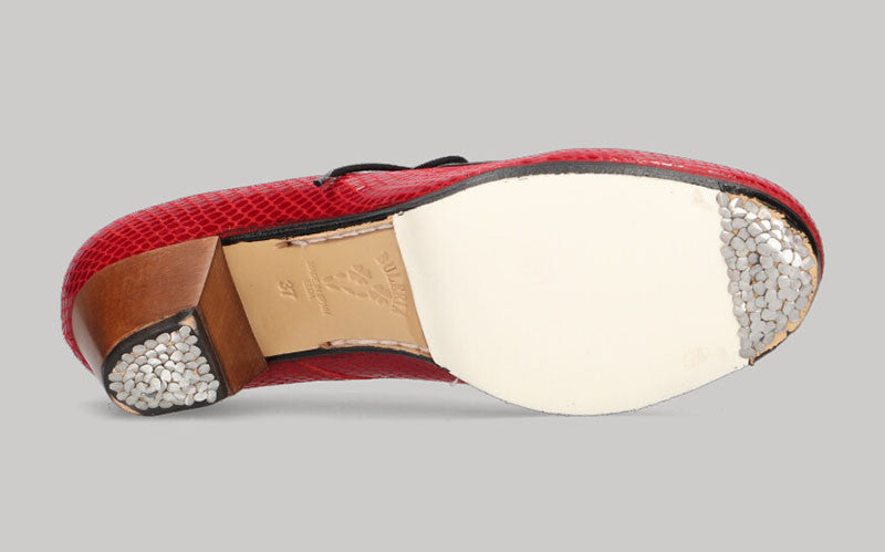 Zapato de baile Flamenco Profesional en Fantasía Serpiente Rojo con Cordones