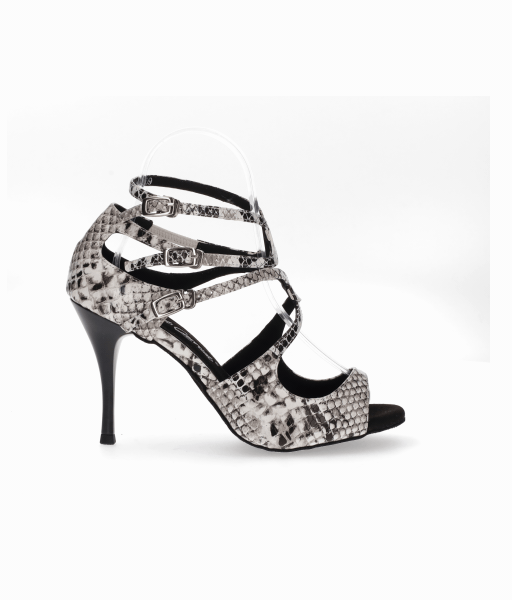 Ballroom and tango dancing shoe in animal print fantasy