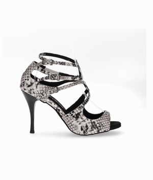 Ballroom and tango dancing shoe in animal print fantasy
